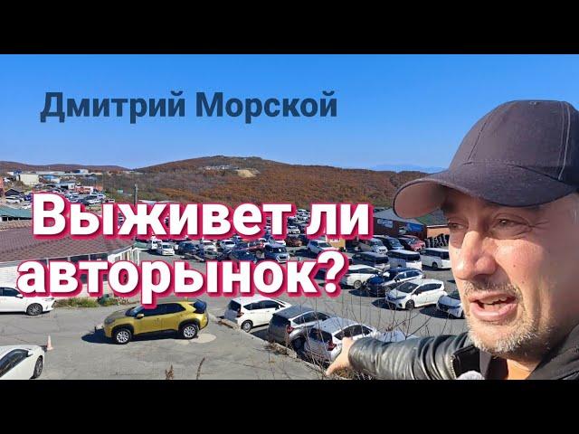 Итоги октября. Выживет ли авторынок Владивостока? Новости Зеленый Угол.