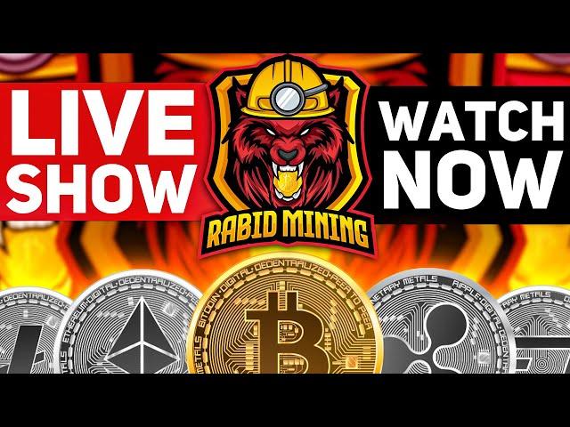 Rabid Mining LIVE, What's Going On Today?