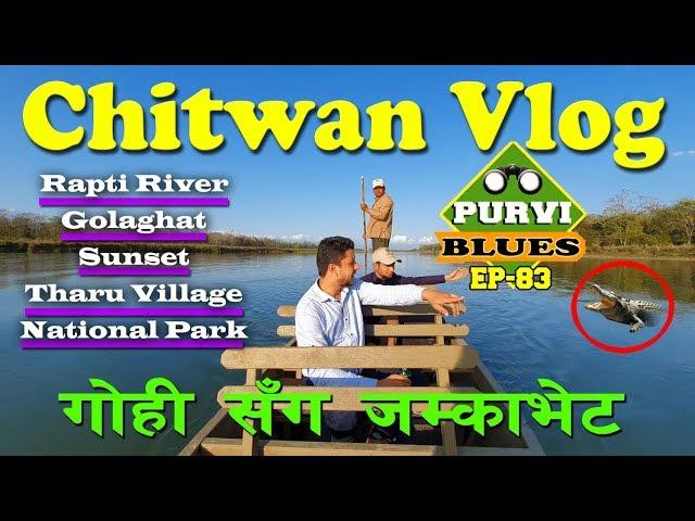 Chitwan Vlog || The Best Place To Explore Chitwan National Park ||  Golaghat Sunset || Meghauli Tour