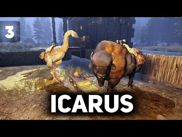 Подружились с бизоном и страусом. Едем на край света ‍ Icarus [PC 2021] #3