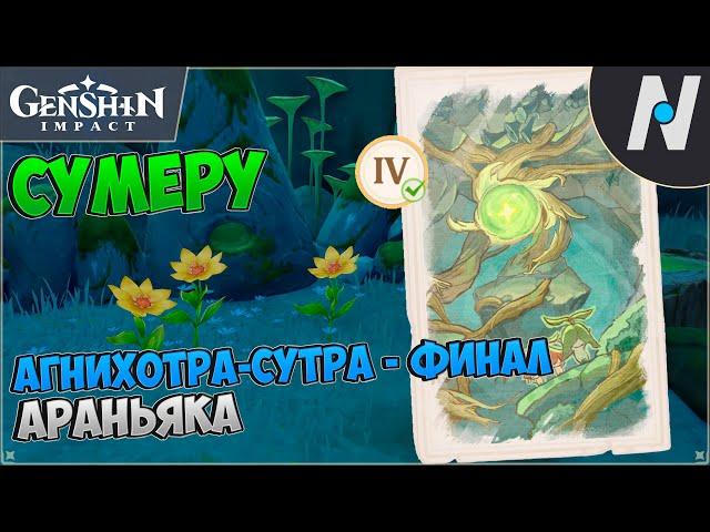 Араньяка: Агнихотра-сутра - вторая часть. Эпилог: Воспоминания | Genshin Impact