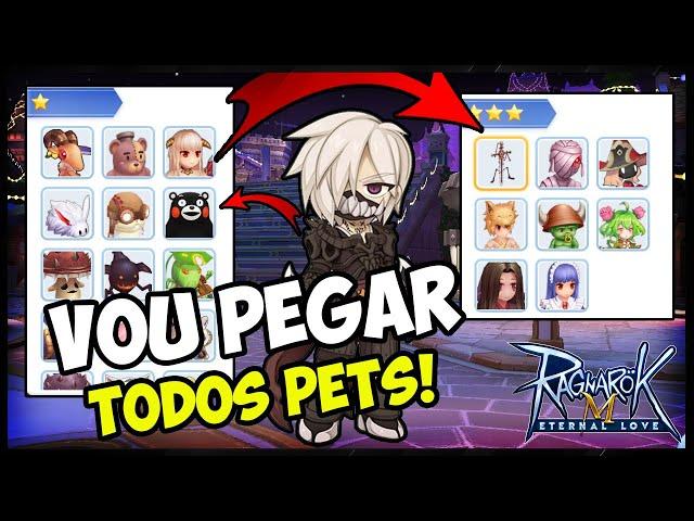 VOU TER TODOS PETS! -  Ragnarok Mobile Eternal Love (ROM)