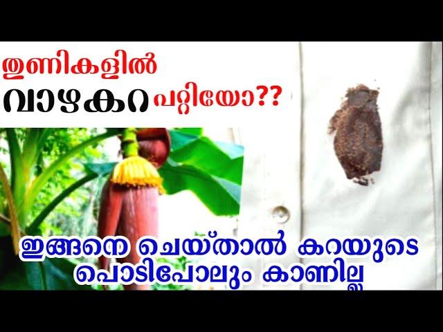 തുണികളിലെ വാഴകറ എത്ര പഴകിയാലും പാടുപോലും വരാതെ മാറ്റാം|How to remove banana stain|Stain removal tips