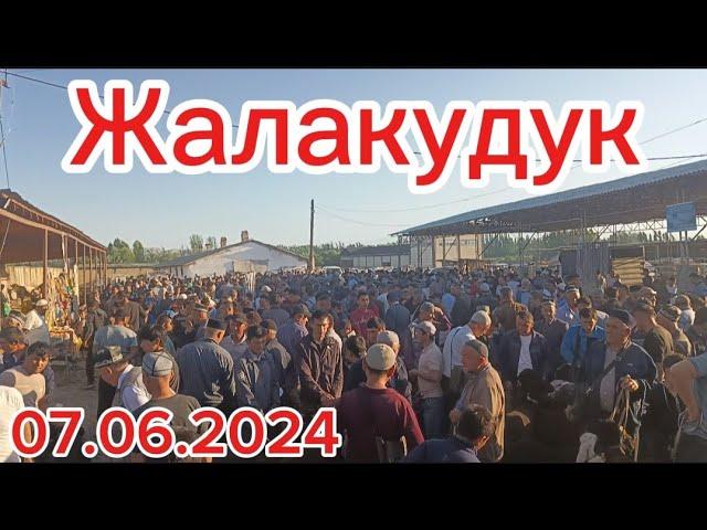 Андижон вилояти Жалакудук хайвон бозори 7.06.2024. #tezkor #xabarlar #reklama