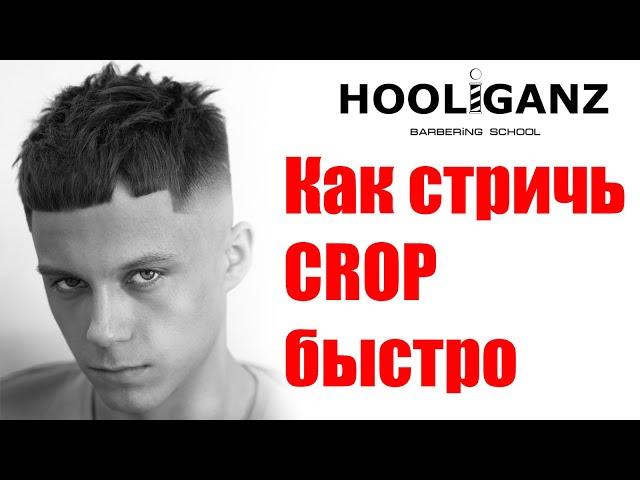 Мужская стрижка CROP /  КРОП