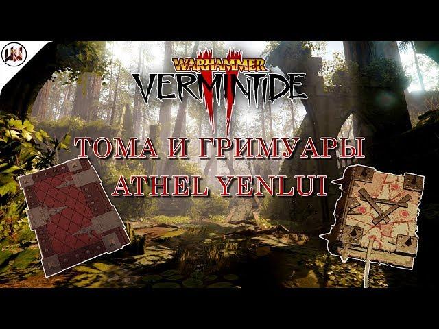 Tomes and Grimoires on map Athel Yenlui [Warhammer: Vermintide 2]