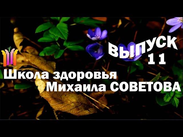 Школа здоровья Михаила СОВЕТОВА ВЫПУСК 11