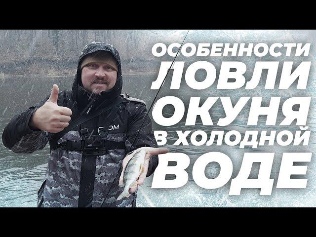 Особенности ловли окуня в холодной воде