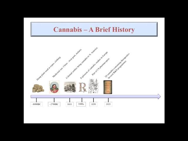 Jason McDougall: Cannabinoids in the Treatment of Arthritis Pain