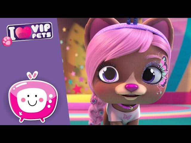 Ma quanti NODI!!  VIP PETS  Nuovo Episodio  Cartoni animati in ITALIANO