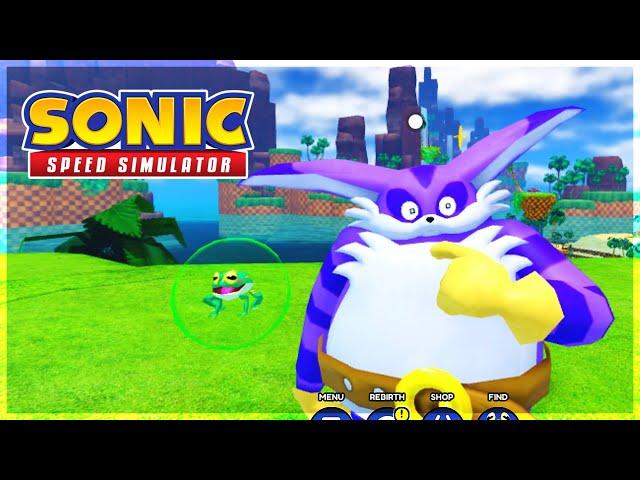 Big the Cat & Froggy in Roblox | Sonic Speed Simulator