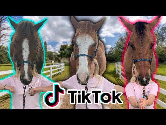 Recreating EQUESTRIAN TIK TOKS! PART 3!!