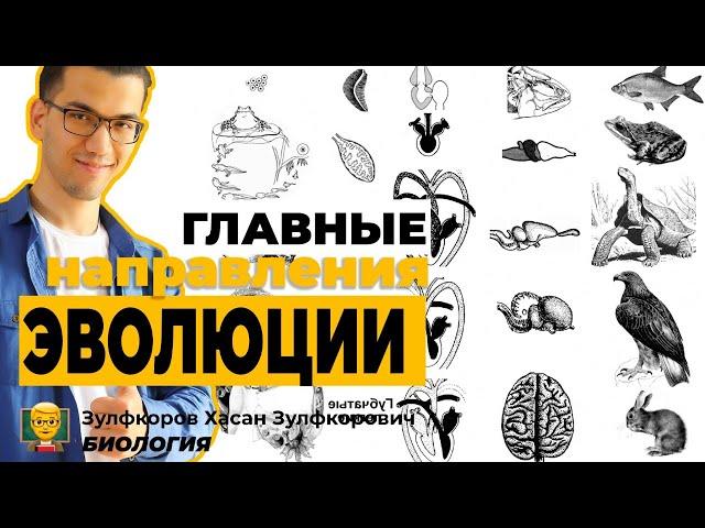 Типы эволюционного изменения. Главные направления эволюции