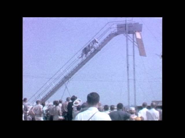 Horse Diving - Archive Footage 1960s