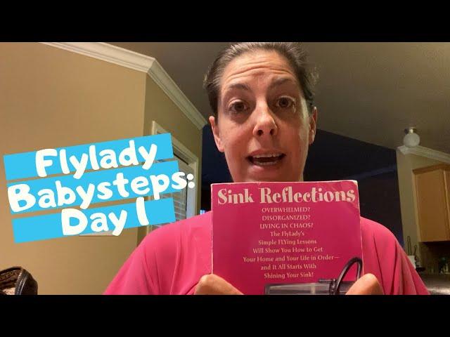 Flylady 31 Beginner Baby Steps - Day 1 | Shine Your Sink