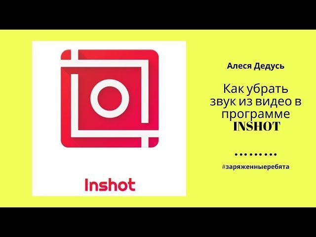 Как убрать звук из видео в программе  INSHOT