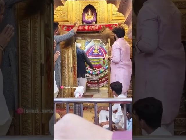 Khatu shyam ji mandir video | Manish Regar Vlogs | #shorts