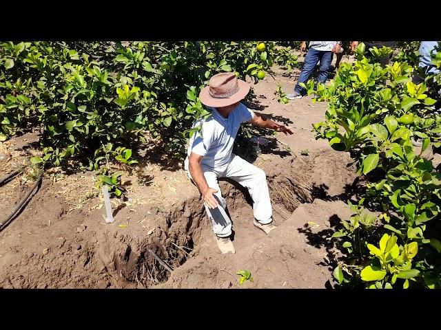 RIEGO SUTERRANEO, SUGERENCIAS DE MANEJO