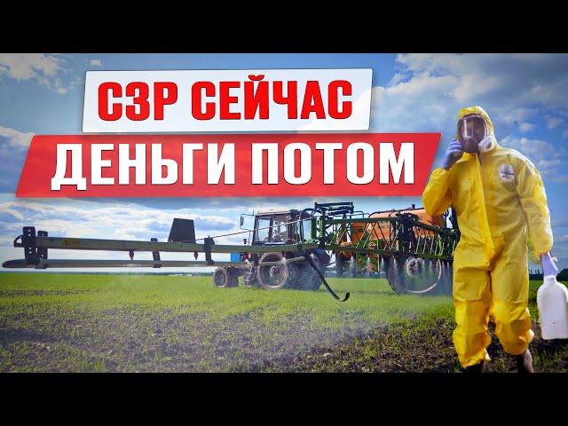 Тренды рынка СЗР | Квотирование ввоза пестицидов | День Сибирского поля