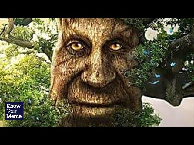 How This Creepy Tree Man Became a Meme | Aztrosist Meme Review