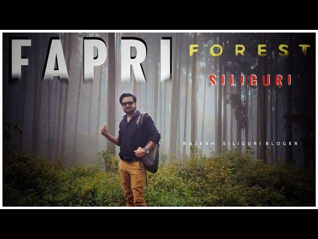 Fapri Forest Siliguri | Fafri Forest | Raj Fapri Forest | Fapri blog