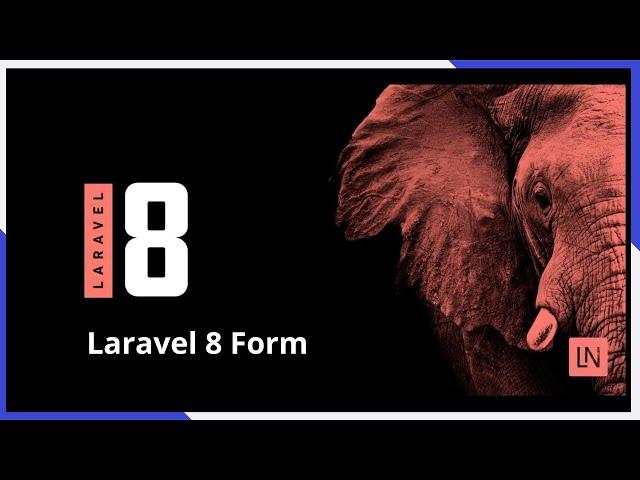 Laravel 8 Form Submit