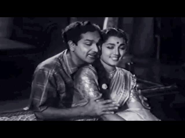 Vennelalone Vedi Elano Video Song | ANR | Jamuna | Pellinati Pramanalu Movie Video Songs