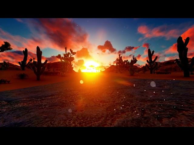 ARIZONA