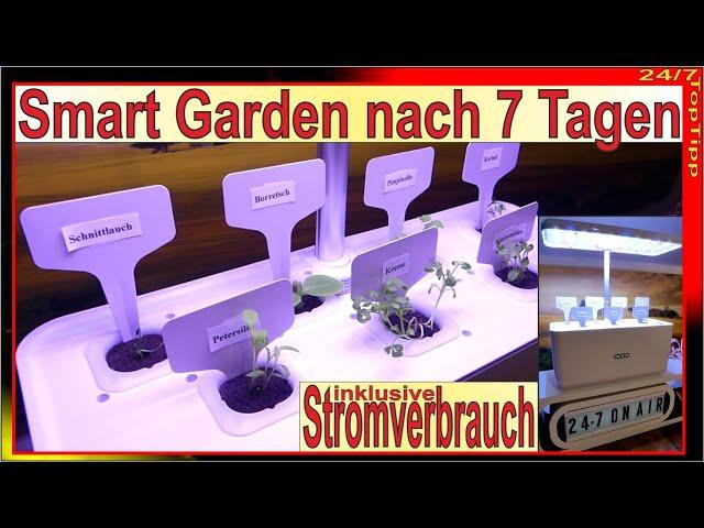 iDOO Smart Garden Kräutergarten - Ergebnisse nach 7 Tagen [ Stromverbrauch ] indoor Gemüse & Kräuter