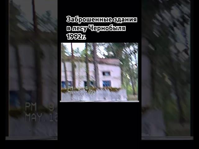 Заброшенные здания в лесу Чернобыля.1992г. #old #retro #chernobyl #чернобыль #сталкер #nature #90s