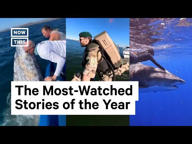 The 10 Biggest NowThis Stories of 2022