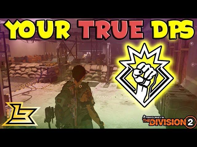 Your TRUE DPS - Shooting Range 2.0 Tutorial (The Division 2)