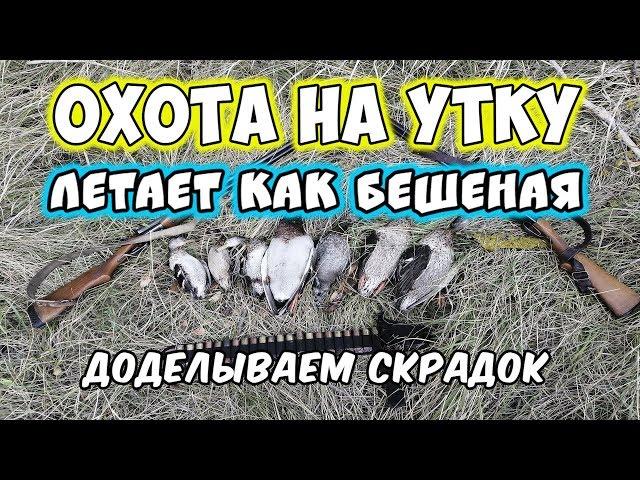 ОХОТА НА УТКУ. СОВЕТУЮ ПОСМОТРЕТЬ! ОЧЕНЬ МНОГО УТКИ. КАК СТАВИТЬ СКРАДОК.