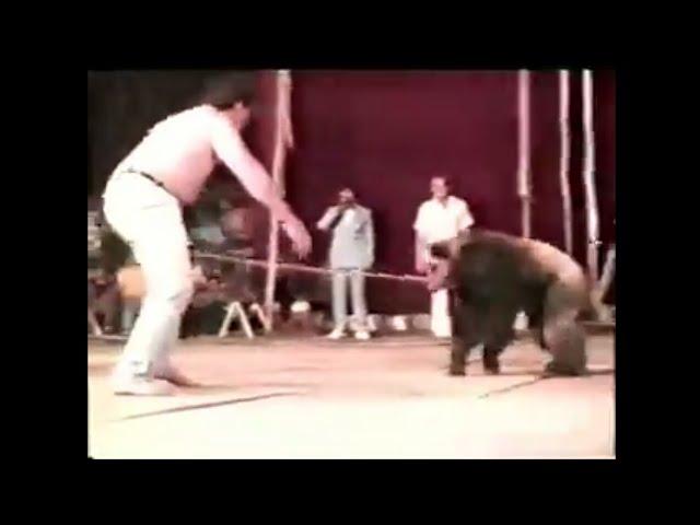 Human Vs Chimpanzee !  Real Fight (No Clickbait)