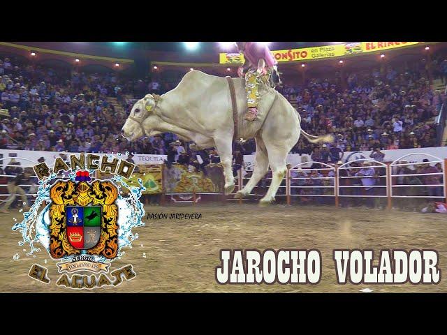 $10 000 si le queda al " JAROCHO VOLADOR "  RANCHO EL AGUAJE EN AUTLÁN JALISCO 2022 | Jaripeo 4x4