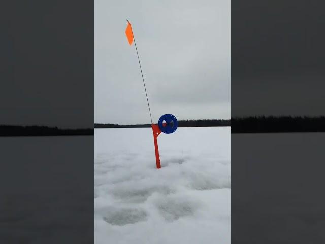 Зимой ждёшь теплой воды,фидер, поплавок,а летом ждёшь с тоской зимней рыбалки