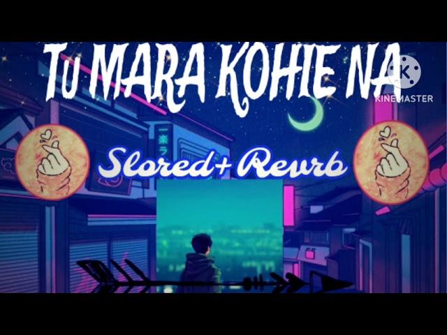 Tu mara kohie na.(SLORED+REVRB).new lofi song 2023..