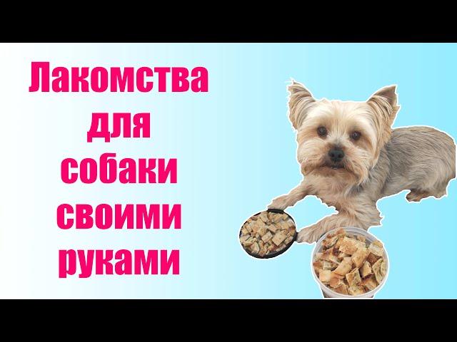 Готовим лакомство для собаки дома || Вкусные и простые вкусняшки для собак