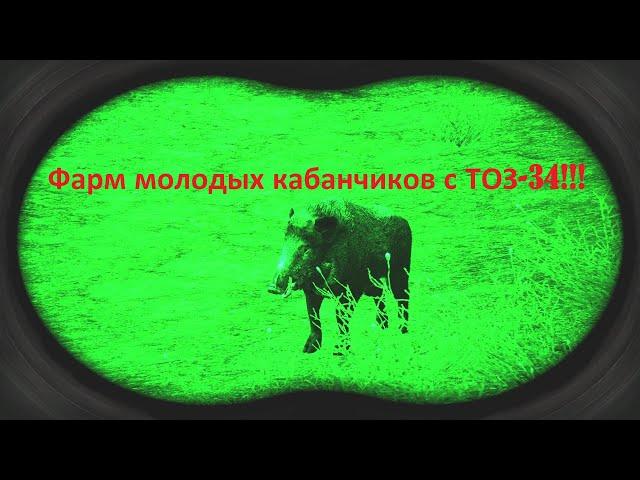 500к за час Фарм на молодых кабанчиках В (STAY OUT) STALKER ONLINE  MSK Farming on young wild boars