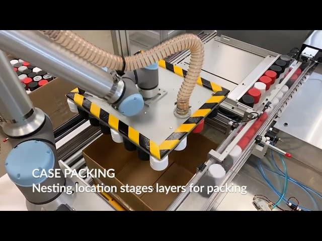 Packing Machine | Full End-of-Line Packaging Automation | Custom Machine | ONExia Inc