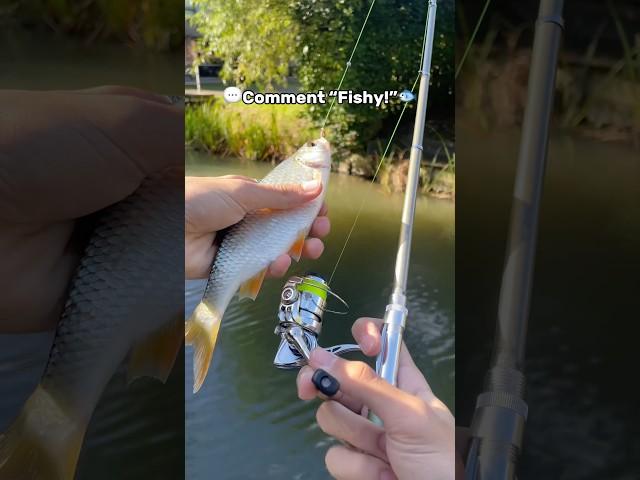 We caught an big fis with the world Smallest Rod #fishing #fish #shorts