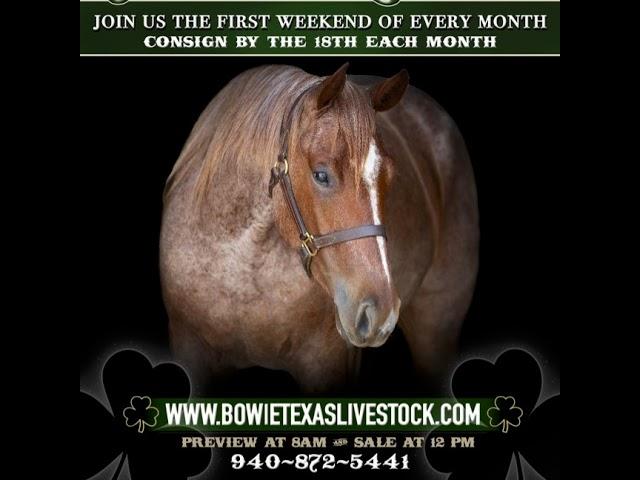 Bowie TX Horse Sale Live Stream