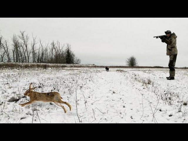 GREAT HARE HUNTING ON THE FIRST SNOW.