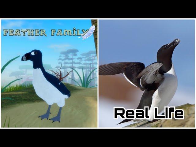 Feather Family In Real Life 5