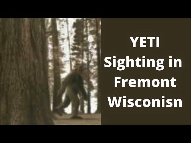 Bigfoot of Fremont Wisconsin YETI