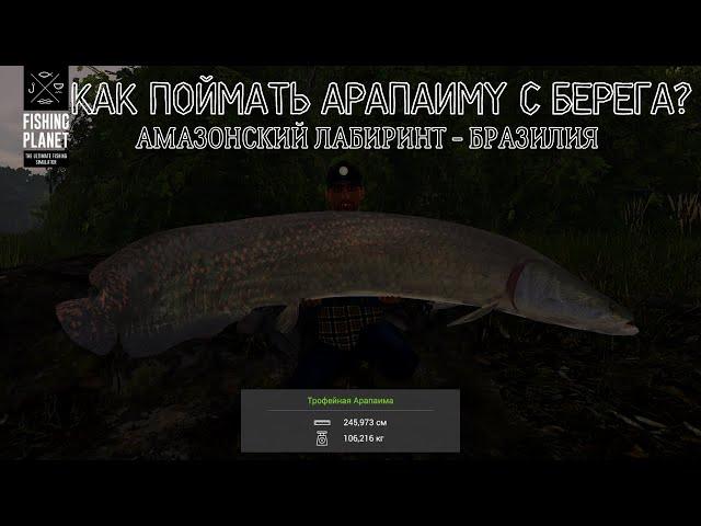 КАК ПОЙМАТЬ УНИКАЛЬНУЮ АРАПАИМУ С БЕРЕГА В FISHING PLANET? АМАЗОНСКИЙ ЛАБИРИНТ - БРАЗИЛИЯ