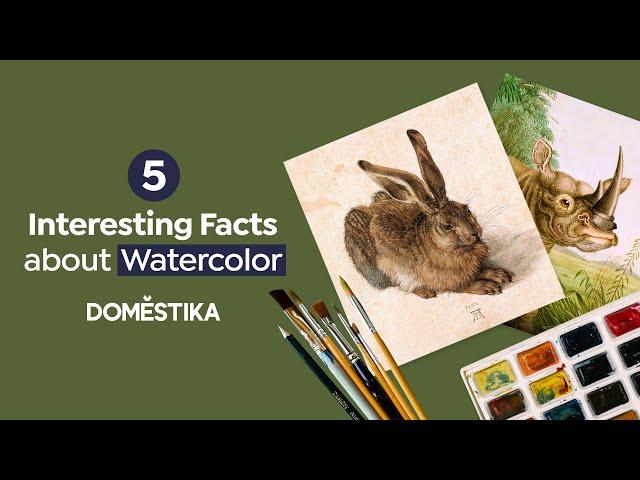 5 INTERESTING FACTS about WATERCOLOR | Domestika English