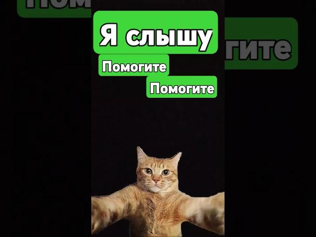 Дак вот почему я 4года плавать учился #фотоивидео #фото #gacha #мем #animation #cat #memes #dropedit