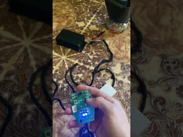 обзор сгу элина