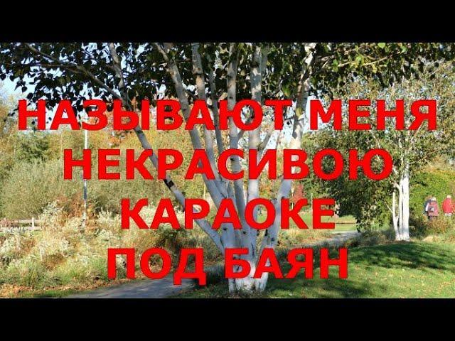 НАЗЫВАЮТ МЕНЯ НЕКРАСИВОЮ -  КАРАОКЕ ПОД БАЯН